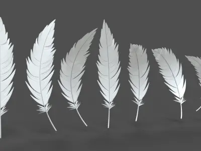 Feathers Set - 7 Assets 3D model