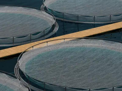 Floating Circular Fish Farm on Water with Walkway 3D model