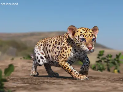 Leopard Cub Sneaking Pose 3D model