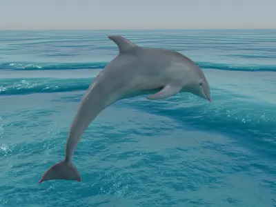 Dolphin Low-poly 3D model purchase