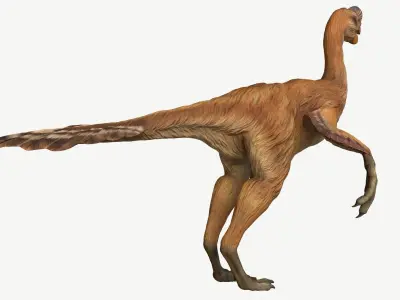Citipati dinosaur Low-poly 3D model