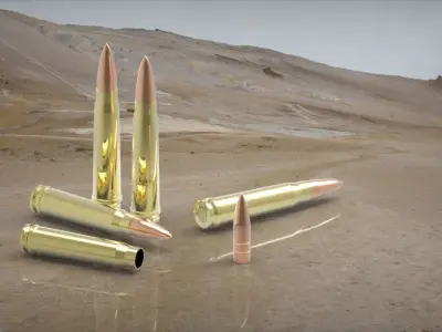 Bullet 55 Boys Anti-tank 143x99 Free 3D model