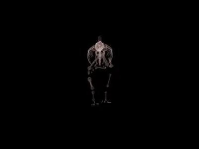 Stylisez T-Rex Skeleton Low-poly 3D model
