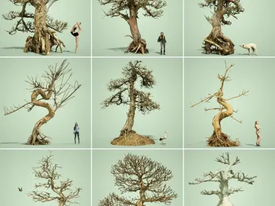 Stylised Dead Tree Collection 3D model