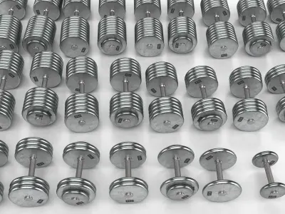 A set of 20 dumbbells from 5 to 100 kg 3D model