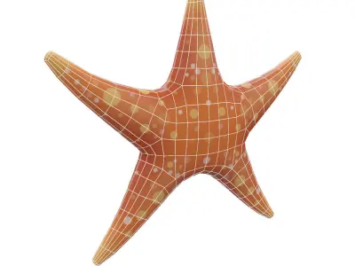 Common Star Fish Cartoon  Animated Low-poly 3D model