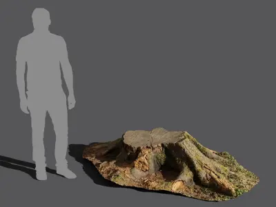  Short Cut Mossy Forest Roots Stump Model 