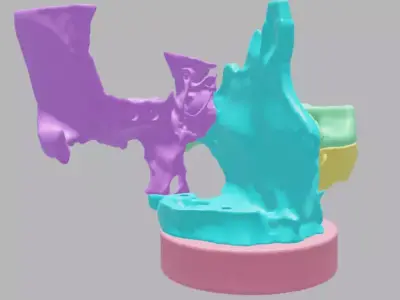 8-part 3D printed Nasal Sinus model from Real CT scan Data 3D print model