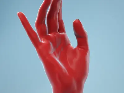 Female Hand 1 3D model