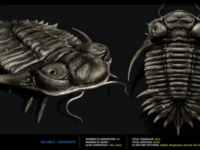 Trilobite 04 - KAYSEROPS Low-poly 3D model