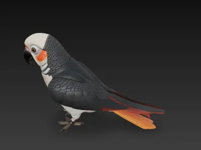 Parrot Realistic 3D Model Basic - Low Poly Realistic Low-poly 3D model