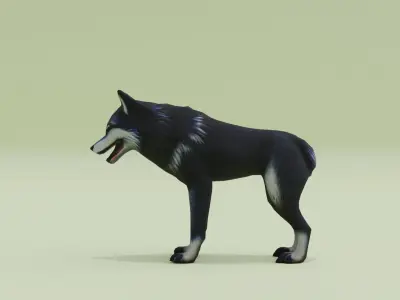 Wolf Black Animal Free low-poly 3D model