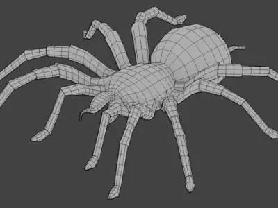 Spider Base Mesh  Low-poly 3D model
