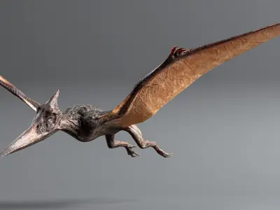 PTERANODON Low-poly 3D model