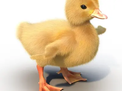  Duckling Rigged 