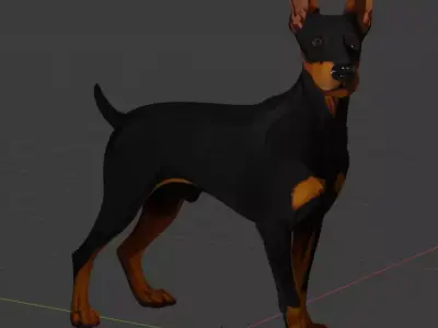 Doberman Dog 3D MODEL 3D model