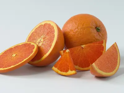  Realistic Citrus Fruits Collection 
