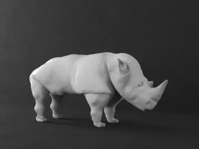 rhino 3D model purchase