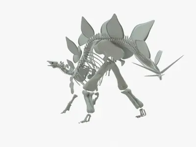 Stegosaurus Rigged Skeleton Low-poly 3D model