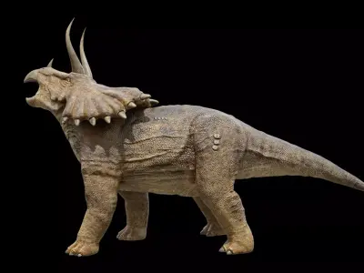 Triceratops Dinosaur Free low-poly 3D model