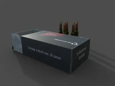 Cartridges and box with them 3D model