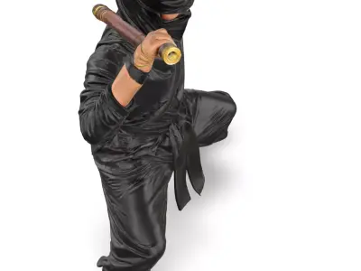 Ninja 3D model purchase