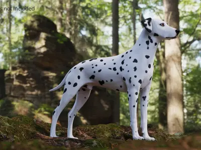 Spotted Dalmatian Dog 3D model