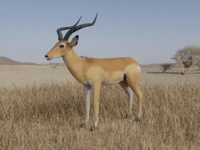 Gazelle antelope Low-poly 3D model