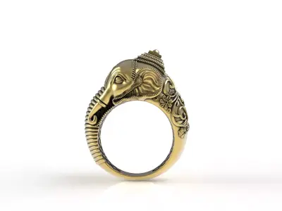 Elephant Ring 3D print model