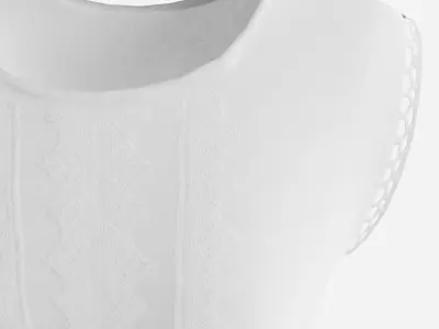 Victorian Petticoat Low-poly 3D model