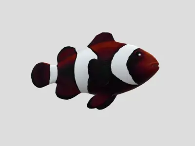 clownfish Low-poly 3D model purchase