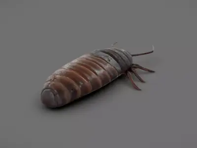 Roach - Read Description Low-poly 3D model purchase