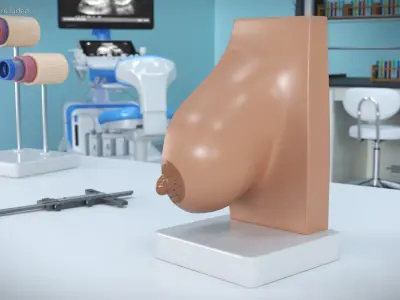  Breast Anatomy Training Model Pre-Pregnancy on Stand 
