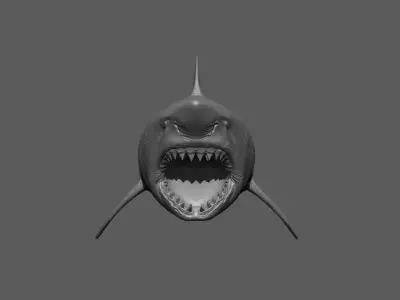 Great White Shark  3D model