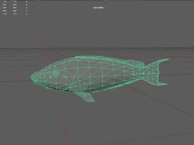 Wrasse Low-poly 3D model 5