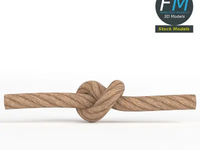 Generic tied knot 3D model