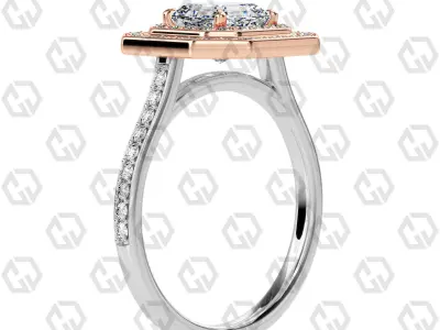 Ring 201 Asscher Shape Cathedral Double Halo pave set with Gems 3D print model