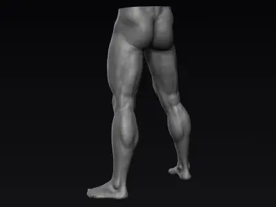 Male Legs 6 Poses 3D model