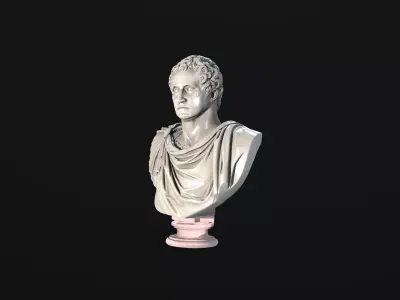 Imperial Roman Bust Collection - High Detail 3D Sculpture 3D model