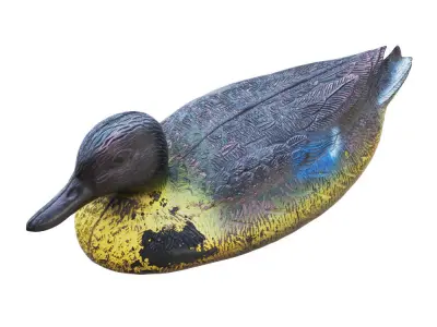 Decorative duck for artificial ponds and pools 2 3D model