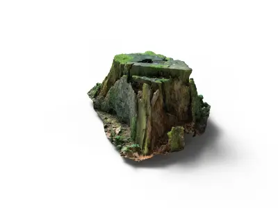 Forest Tree Stump 4K -Part 7- Free low-poly 3D model