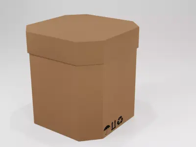 Cardboard Box 3D model