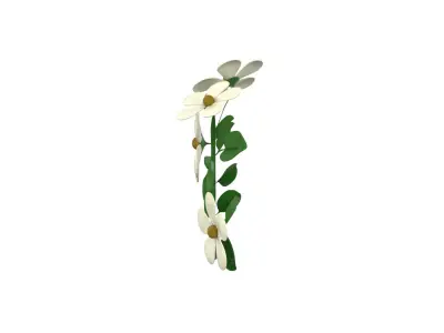 Plants Low-poly 3D model