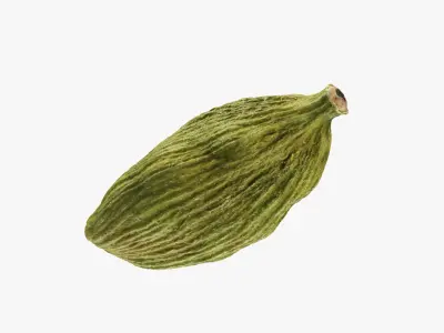 Cardamom Collection 3D model