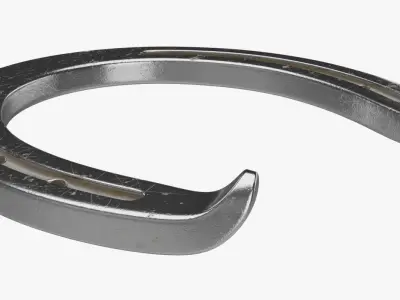 Horseshoe 2 Textured 3D model
