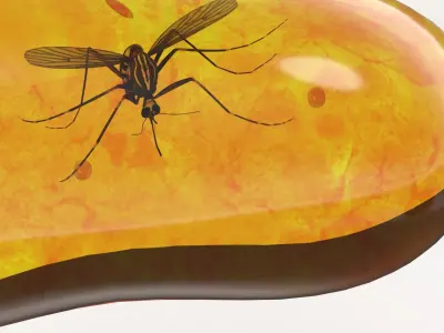 Amber Stone with Mosquito Fossil 3D model