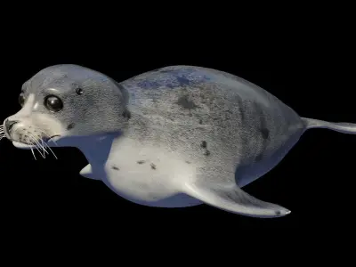Seal animal Low-poly 3D model