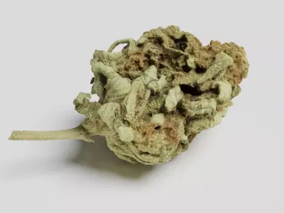 Cannabis Bud 06 3D model