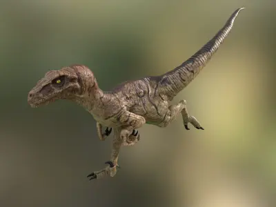 Velociraptor Low-poly 3D model purchase