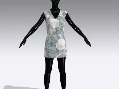 Woman Cloth Dress Low-poly 3D model